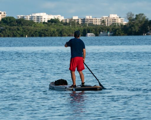 A back view of a male paddle boarding on a lake