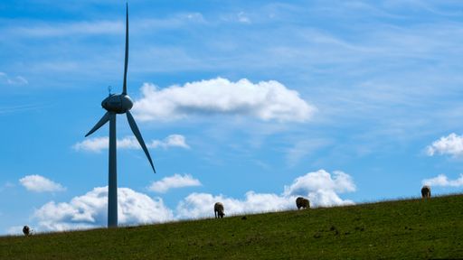 A green field with sheep and windmillduring daylight