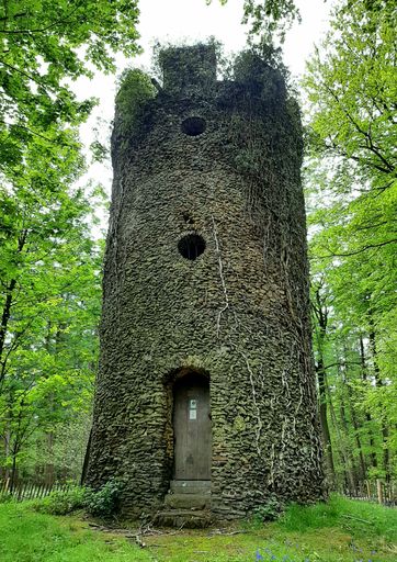 An old tower in a green forest