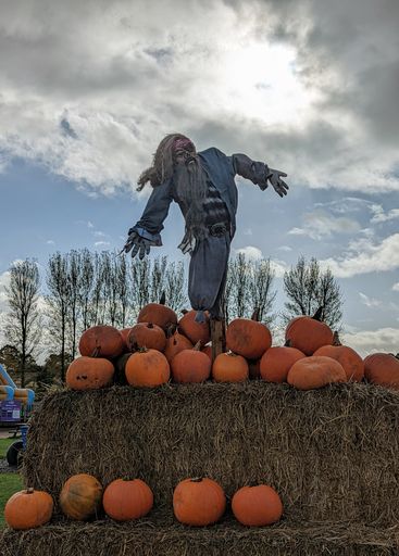 A vertical shot of a Halloween pirate scarecrow on hay with pumpkins under the creepy cloudy sky