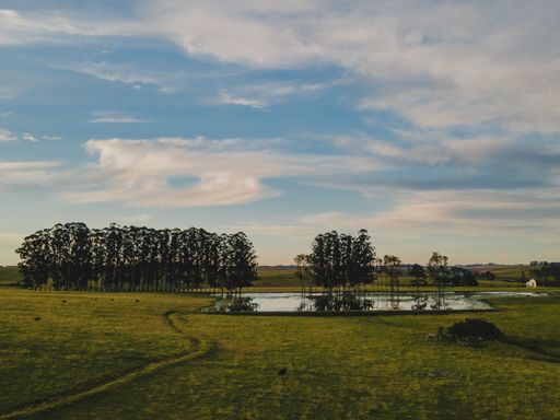 A beautiful green landscape with fields and a lake under a cloudy sky in Uruguay
