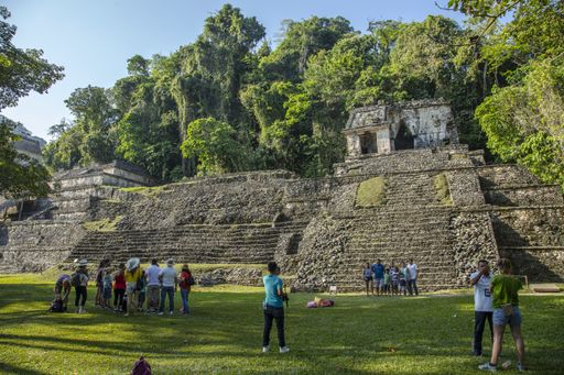 Mayan ruins among the forest in Palenque, Mexico