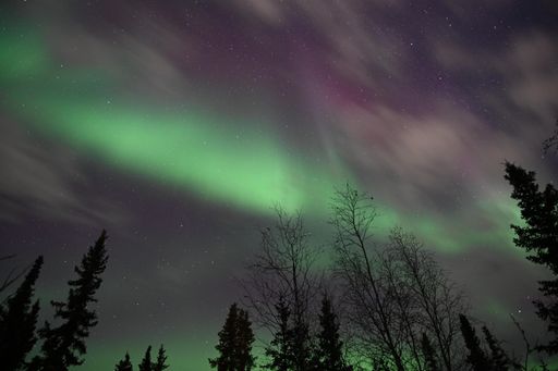 A beautiful shot of northern lights in the sky.