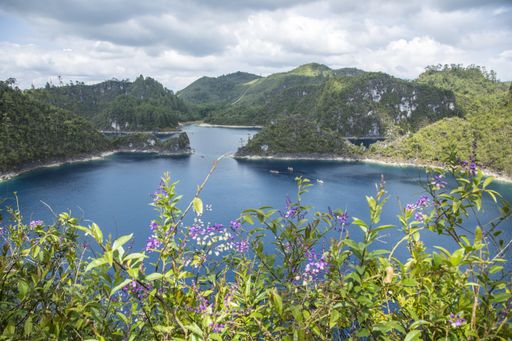 A mesmerizing scene of a lake with the forest in the background under the cloudy sky