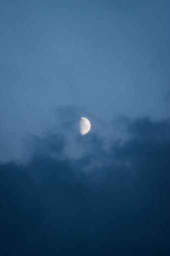 A beautiful vertical view of a moon hiding under the clouds on a foggy sky
