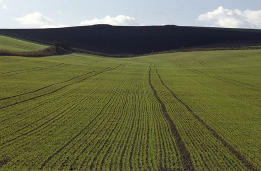 An aerial shot of a grassy field with a mountain in the distance at Wiltshire, UK