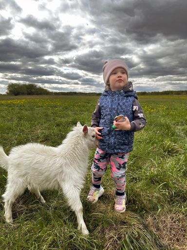 A young child in colorful clothing stands in a grassy field with a white goat under a cloudy sky.