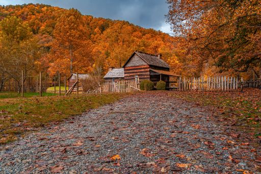 A rustic cabin surrounded by vibrant autumn foliage in a rural setting, showcasing a gravel path leading to the wooden structure.