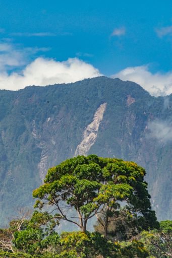 A vertical shot of a landscape under the cloudy skies durin
