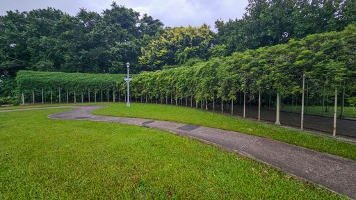 A serene park scene with a neatly trimmed hedge and a winding path under a cloudy sky.