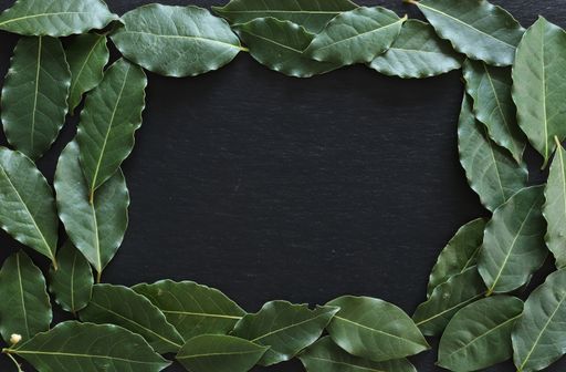 A top view of laurel leaves on a dark wooden surface with copy space for text
