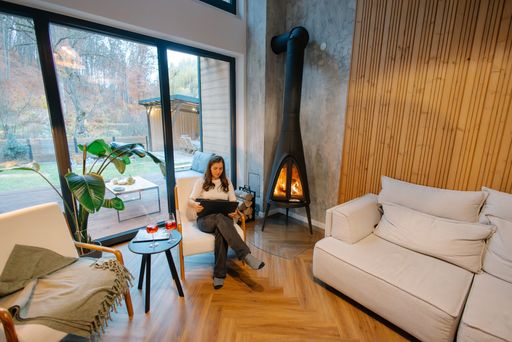 A cozy modern living room with a fireplace, large windows, and a woman using a laptop, surrounded by nature.