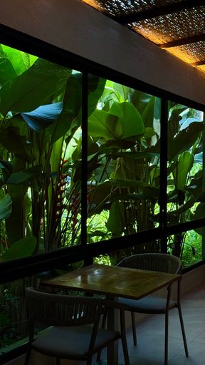 Contemporary cafe interior featuring tropical plants visible through large windows