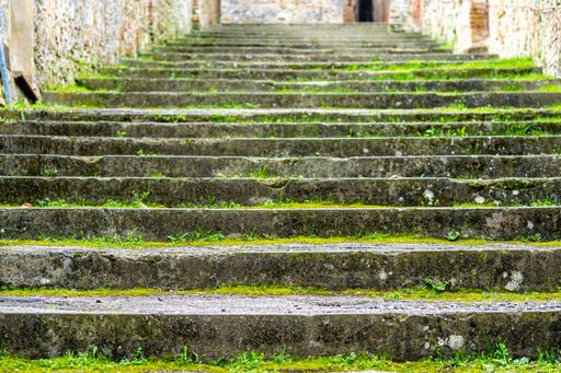 A selective focus shot of concrete stairs partially covered with green moss