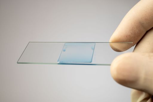 Close-up of a hand holding a glass microscope slide with a blue substance, ideal for scientific and educational purposes.