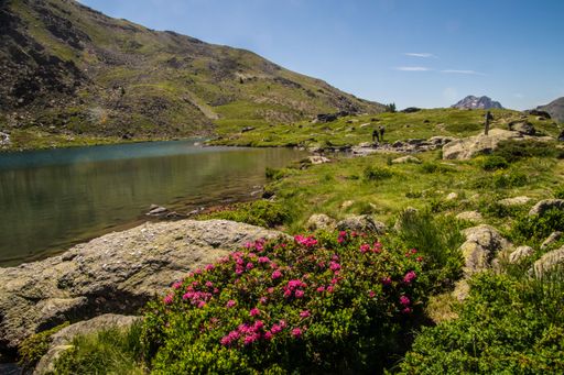 Scenic mountain lake with vibrant flowers and hikers under a clear blue sky.