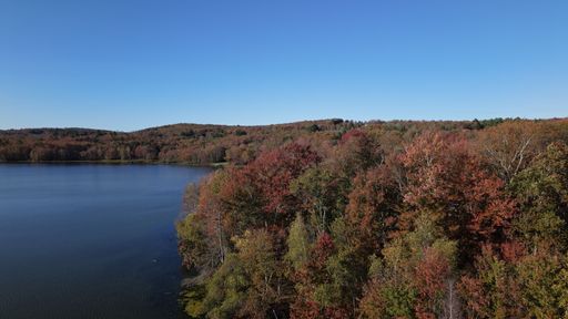 High-resolution drone photograph showing a tranquil lake bordered by mixed hardwood forest in peak fall colors. Rich reds, oranges, and yellows contra