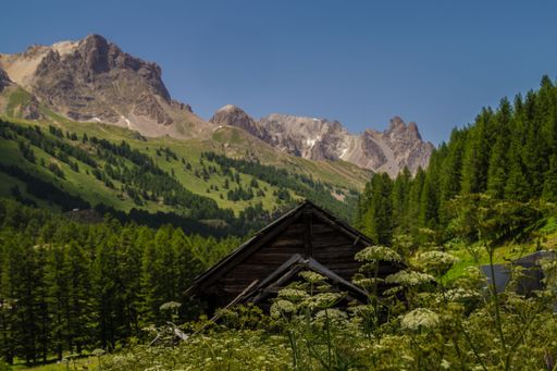 Rustic wooden cabin in lush green valley with majestic mountains under clear blue sky, evoking tranquility and natural beauty.