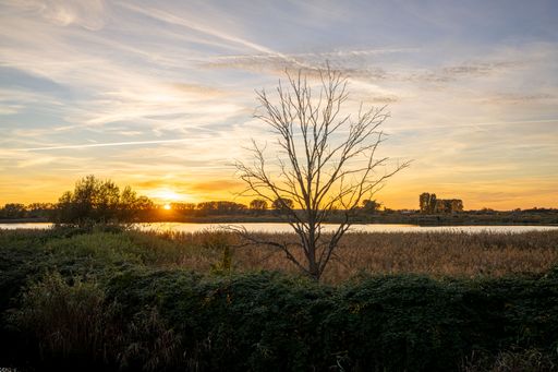 An ethereal composition featuring a vibrant gradient across a perfectly still lake. Dramatic contrast and serenity.