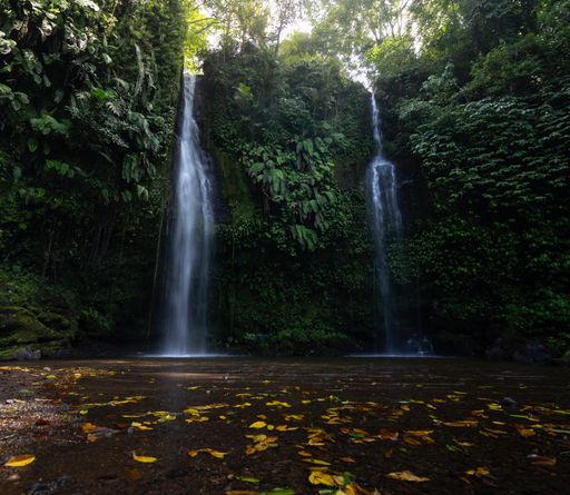 A serene waterfall cascading into a tranquil pool surrounded by lush greenery and fallen leaves.