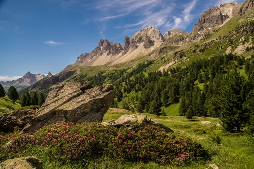 Panoramic vista showcasing rugged topography and verdant forests. A pristine landscape under an azure canopy.