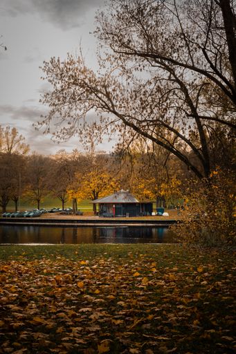 Autumn scene in a park with a small pavilion by a lake, surrounded by fallen leaves and bare trees under a cloudy sky.