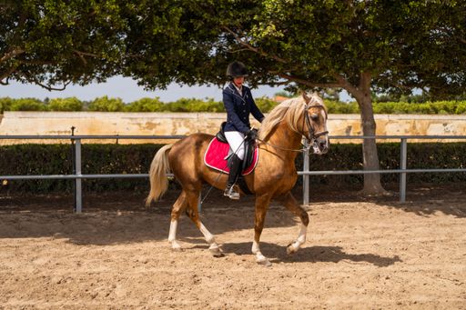 Female equestrian on palomino horse performing dressage exercises in a sandy outdoor arena under sunlight.