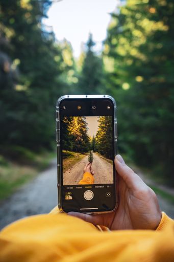 A vertical shot of a person taking a photo of a leaf with a cellphone camera