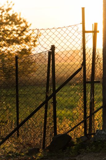 A vertical shot of a fence with a lawn in the background under the sunrays