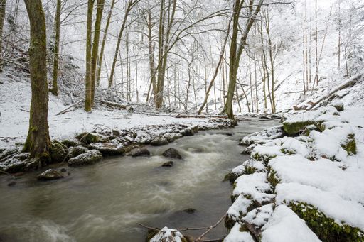A river flows in a forest fully covered with snow captured during the cold weather