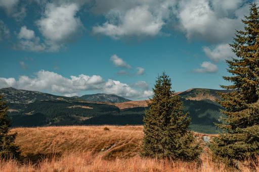 A beautiful view of the trees on a hill with mountains in the background under the cloudy sky