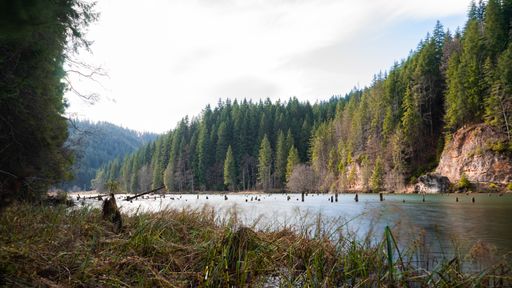 A beautiful view of a river surrounded by tree-covered cliffs captured under the blue sky