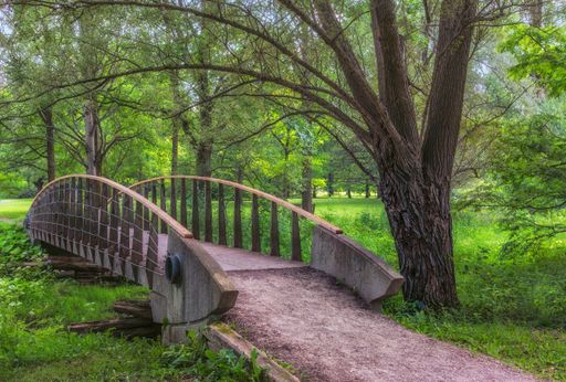 A beautiful view of a bridge in Arboretum park in Guelph, Ontario, Canada