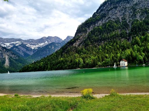 A wonderful view of the Plansee Lake surrounded by forested mountains in Austria