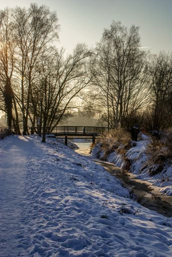 A vertical shot of a snowy meadow with a bridge and bare trees