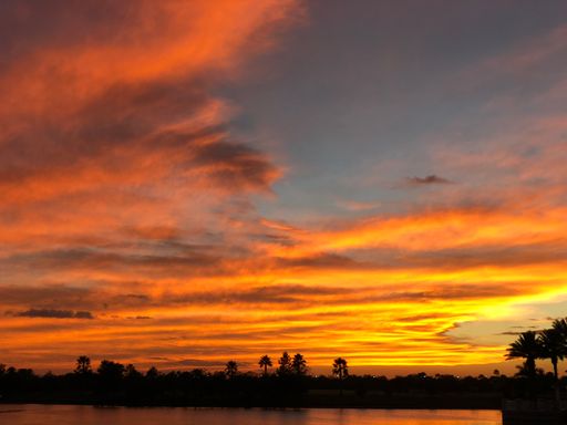 A mesmerizing sunset over the calm sea and blooming vegetatio