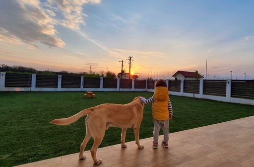 A beautiful picture of a kid with a labrador in a garden looking at the sunset