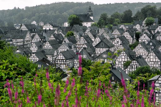 A beautiful shot of black and white houses in Freudenberg, Germany