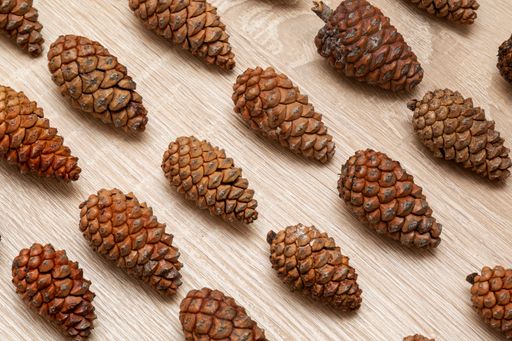 A top view shot of pine tree cones on a wooden table