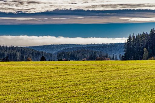 A bright summer morning in the rural countryside with the clouds hover over a big open field