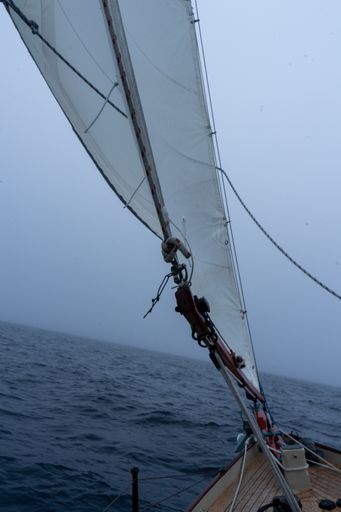 A vertical shot of the sail of a sailing boat in the wavy water under a blue clear sky