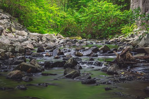 A beautiful view of a river flows over rocks through the woods