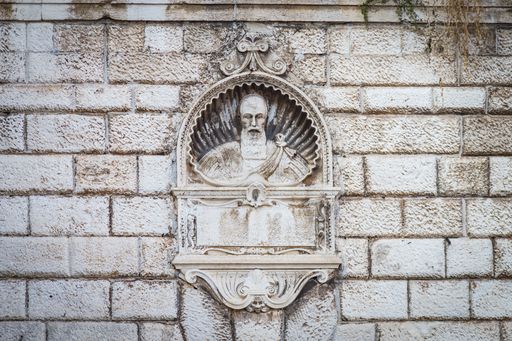 A closeup shot of Giacomo Zane in Dalmatia, Croatia