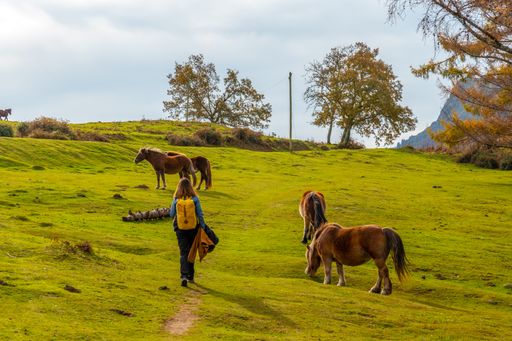 A young woman in the Erlaitz mountain with horses in freedom in the town of Irun in Basque Country