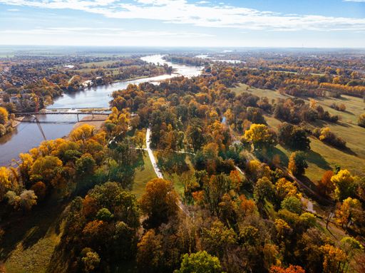 autumn drone image of Rotehornpark in Magdeburg, Germany. View over the Elbe river and bridge. And a blue cloudy sky