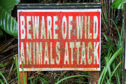A rusty, metal sign saying " BEWARE OF WILD ANIMALS ATTACK"