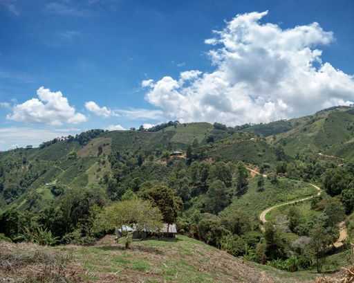 A landscape of hills covered in greenery under the sunlight and a blue cloudy sky at daytime