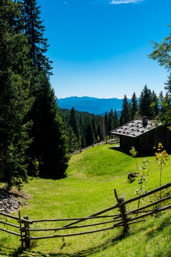 A high angle shot of a house on a sloping field on a mountain with pine trees in South Tyrol, Italy