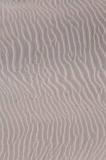 The texture sand dune desert in Gran Canaria Island Spain
