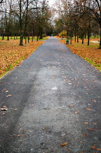 A vertical closeup of a road path in the park surrounded with trees and colorful leaves on the ground